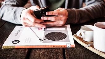 互聯網產品運營體系構建 從產品運營到網絡開發的協同之路