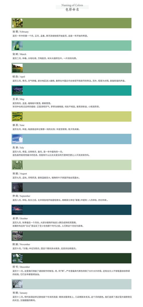 Thimple文具產(chǎn)品設(shè)計(jì) 以“喚心·青”系列引領(lǐng)數(shù)字內(nèi)容制作新潮流